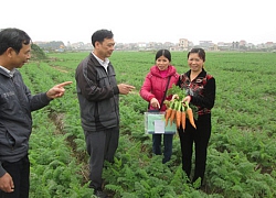 Được đồng vốn Quỹ HTND tiếp sức, nhiều nông dân thành triệu phú