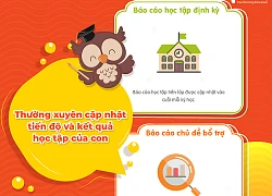 Giải pháp ôn tập kiến thức tiếng Anh cho trẻ tại nhà có thật sự tốt?