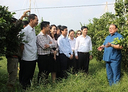 Hội Nông dân tỉnh Thanh Hóa: Đổi mới hoạt động tư vấn, hỗ trợ nông dân