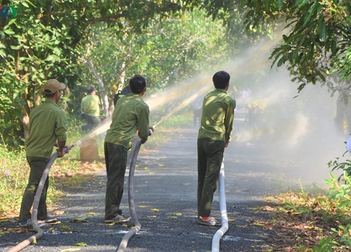 Hơn 3.000 ha rừng tại Cà Mau ở mức dự báo cháy cấp cực kỳ nguy hiểm