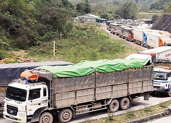 Sau khi thông quan, container chở nông sản Việt tiếp tục mắc kẹt ở Trung Quốc