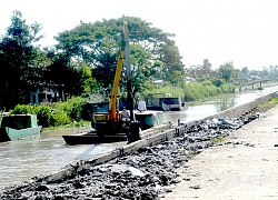 Triển khai biện pháp phù hợp ứng phó khô hạn, xâm nhập mặn