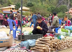 Chợ phiên giữa miền ban trắng