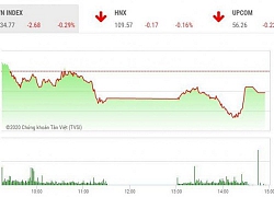 Chứng khoán ngày 17/2: Ngân hàng chưa thể kéo VN-Index thoát đỏ