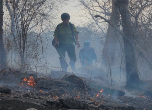 Đám cháy bùng phát, toả mù trên núi Tà Cú