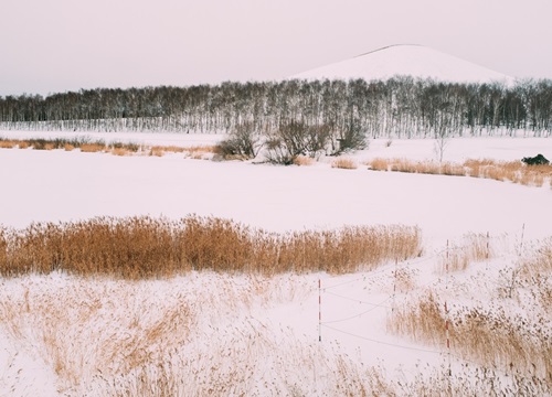 Hokkaido - thiên đường tuyết trắng ở Nhật Bản