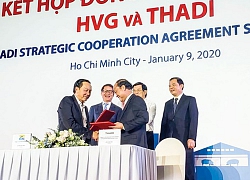 HVG - Đánh mất ngôi vương