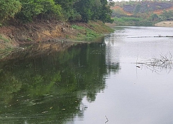 Lập Thạch (Vĩnh Phúc): Nhiều năm sống chung với trại lợn ô nhiễm