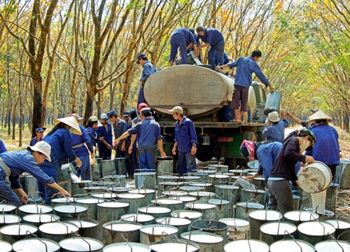 Một thành viên Hội đồng quản trị thoái vốn khỏi PHR, thu về gần 19 tỷ đồng