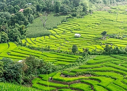 Những lý do bạn nên ghé thăm Chiang Mai