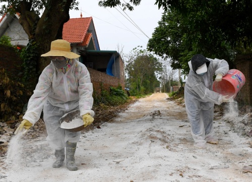 Rải vôi, khử trùng khi dịch cúm A/H5N6 xuất hiện