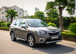 Subaru Forester giảm còn hơn 900 triệu đồng