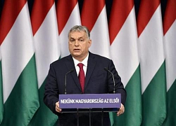 Hungary sẽ trồng thêm 10 cây xanh mỗi khi có em bé chào đời