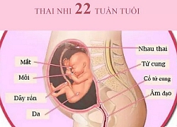 Các mốc siêu âm, khám thai mẹ bầu cần nhớ để sinh con khỏe mạnh