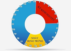 Biết được nguyên tắc này, bạn sẽ thụ thai thành công