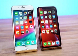 Chênh nhau 1 triệu, bạn nên mua iPhone XR hay iPhone 8 Plus?