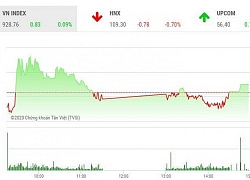 Chứng khoán ngày 19/2: Ngắt chuỗi giảm, VN-Index vẫn chưa hồi mốc 930 điểm