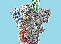 Đột phá nghiên cứu corona: lập bản đồ cấu trúc phân tử 3D virus