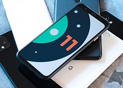 Google ra mắt bản preview đầu tiên dành cho Android 11