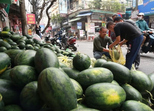 Hàng nông sản vẫn ùn ùn lên cửa khẩu, Bộ Công Thương ra công văn hỏa tốc