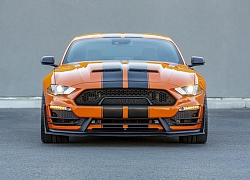 "Hổ mang chúa" Ford Mustang Shelby GT500 đã bị đánh bại bởi người anh em "cùng loài khác giống"