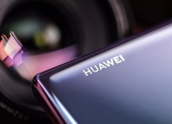 Huawei P40 và P40 Pro 5G xuất hiện trên TENAA, như vậy ngày ra mắt sẽ không còn xa, bạn mong đợi tính năng nào nhất?