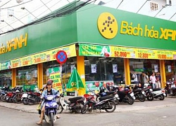 Một cửa hàng Bách Hoá Xanh mang về 53 triệu đồng doanh thu mỗi ngày