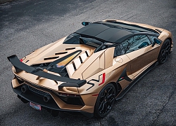 Người Việt tậu Lamborghini Aventador SVJ Roadster đầu tiên thế giới