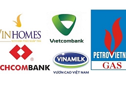 Tài sản của các doanh nghiệp lãi trên 10.000 tỷ đồng: Vinhomes, Vietcombank, PV GAS, Techcombank và Vinamilk