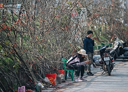 Tết đã hết nhưng thú chơi hoa đào, hoa lê rừng bạc triệu của người Hà Nội chưa hết bao giờ!