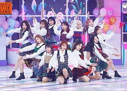 Xót xa hình ảnh đầu gối của tất cả thành viên IZ*ONE bầm tím trên sân khấu comeback