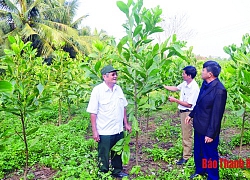 Đảng bộ huyện Như Thanh tăng cường kiểm tra, giám sát, thi hành kỷ luật Đảng