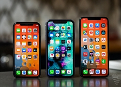 iOS 14 là cơ hội để Apple từng bước dỡ bỏ &#8220;bức tường thành&#8221; giam cầm iFan