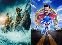 Phòng vé Bắc Mỹ 21-23/2: Sonic the Hedgehog dẫn đầu, The Call of the Wild bám sát phía sau!