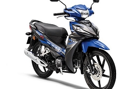 Doanh số xe Honda tháng 1/2020: Giảm kỷ lục ở các phân khúc