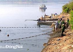 Bủa vây, giăng lưới bắt luồng cá ngon hàng tấn ở hồ sông Mây