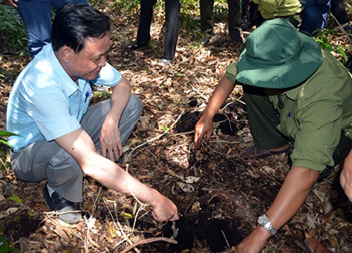 Cà Mau: Hơn 14.000ha rừng có nguy cơ cháy cao