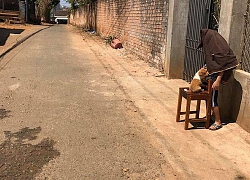 Cậu bé ôm chó đứng phơi nắng giữa trưa, lí do thực sự khiến người lớn bật cười