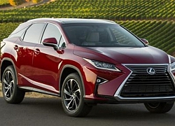 Gần 300 xe SUV hạng sang Lexus bị triệu hồi tại Việt Nam