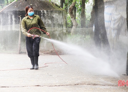 Hà Tĩnh: Gần 250.000 liều vắc-xin cúm A/H5N1 phòng bệnh cho gia cầm trước định kỳ