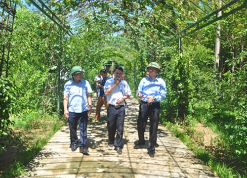 Hà Tĩnh: Vườn mẫu nhiều cây trái, đẹp hơn, cho nhiều tiền hơn