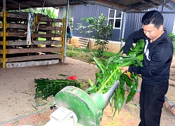 Học ra làm kỹ sư vẫn nghèo, về quê nuôi con sinh lộc lại giàu