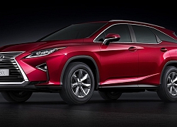 Lexus Việt Nam thông báo triệu hồi 282 chiếc RX 350 vì lỗi hộp số