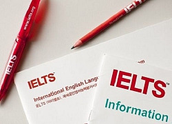 Luyện thi IELTS cho người mới bắt đầu