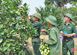 Tăng cường cán bộ biên phòng tham gia cấp ủy cơ sở ở Hà Tĩnh