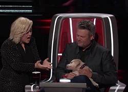 The Voice US: Blake Shelton đưa một chú cún cực yêu ra "đối đầu" với Nick Jonas