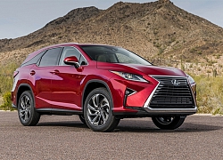 Triệu hồi Lexus RX350 bị lỗi hộp số ở Việt Nam