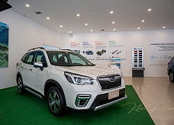 Ảnh chi tiết xe Subaru Forester 2020, CUV ngập tràn công nghệ tại Việt Nam