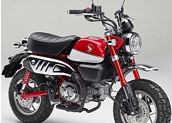 Honda Monkey 125 thế hệ mới ra mắt có phanh ABS, giá siêu hấp dẫn