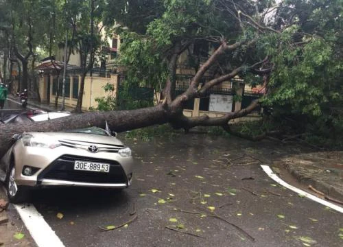 Hà Nội mưa như trút, trời tối đen như mực, cây xanh bật gốc đè bẹp ô tô